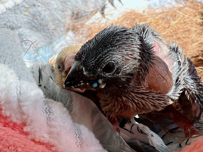 剪辑练习 — 手作工坊·第4集 缩略图