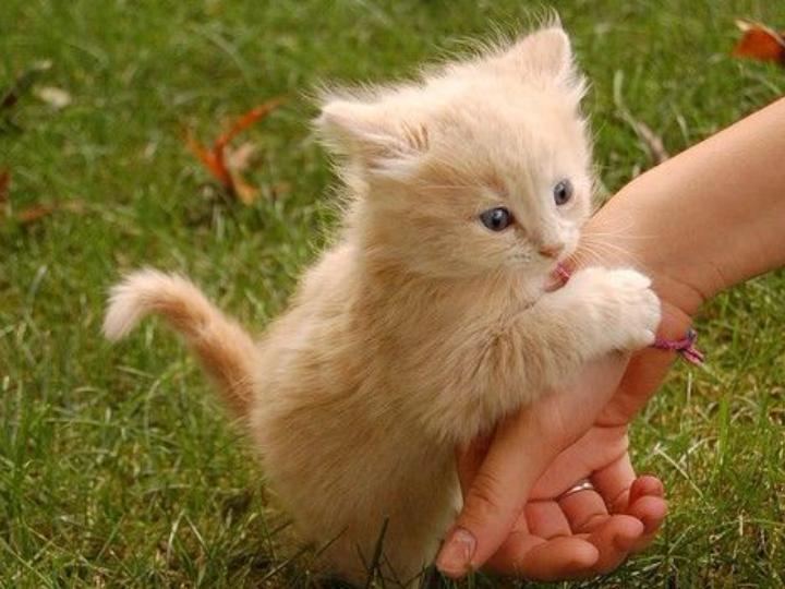 爆款复盘 — 街头节拍 封面