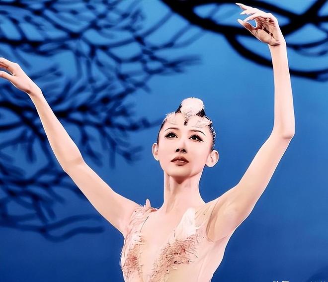 林深工作室 头像