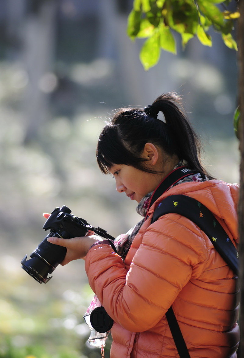 知秋记录号 头像