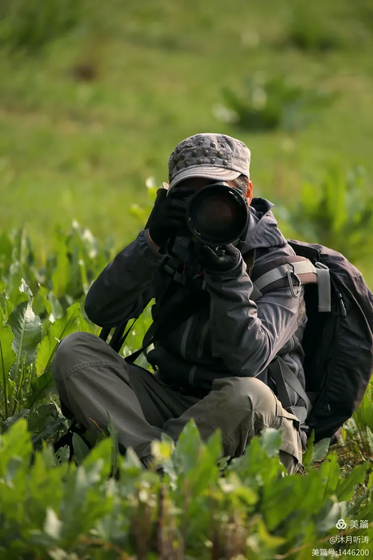 小鲸记录号 头像